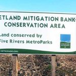 wetland mitigation bank